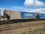 RUMO HPT-033713-7